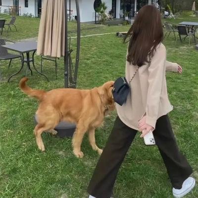 人间最得意
